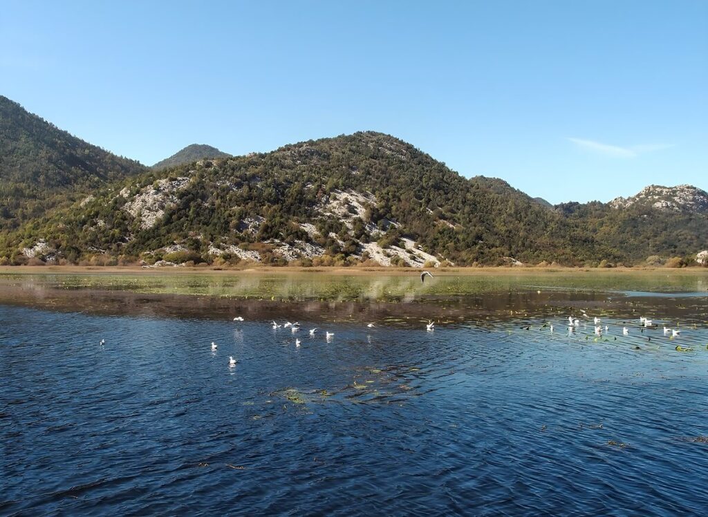 Park Narodowy Jezioro Szkoderskie