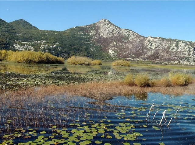 Park Narodowy Jezioro Szkoderskie