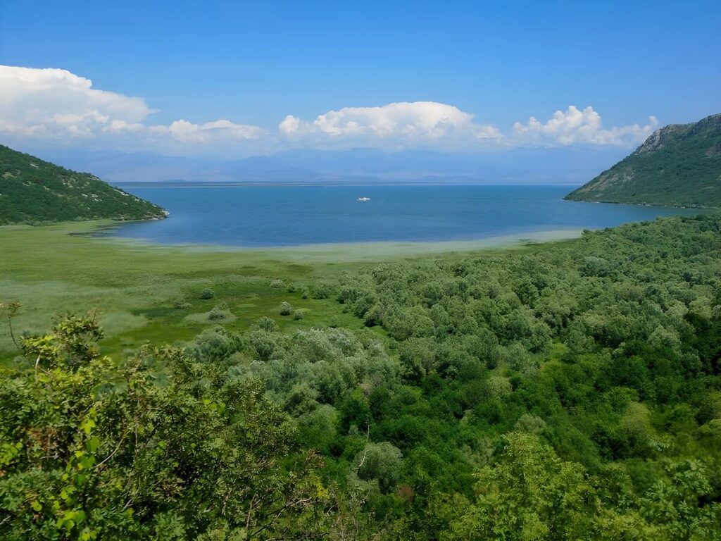Malutkie wyspy na Jeziorze Szkoderskim