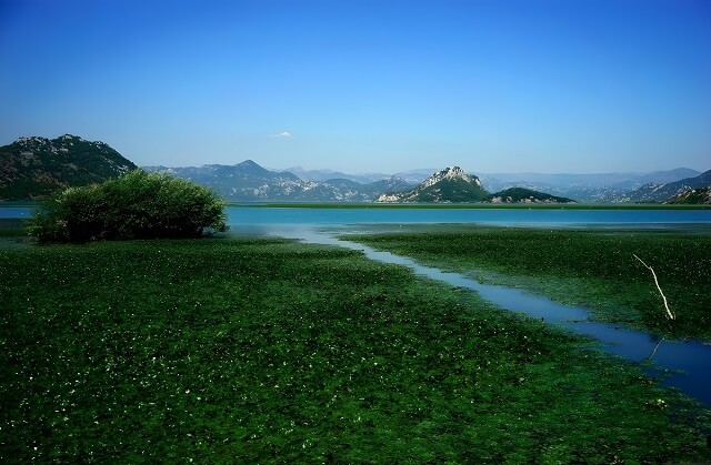 Rejs po Jeziorze Skoderskim