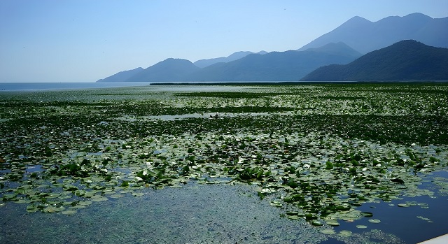 Rejs po Jeziorze Skoderskim