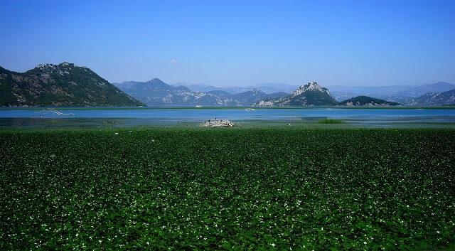 Rejs po Jeziorze Skoderskim