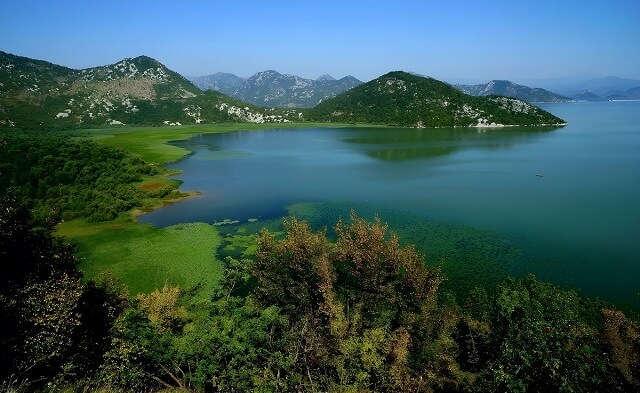 Widoki na Jezioro Szkoderskie z brzegu