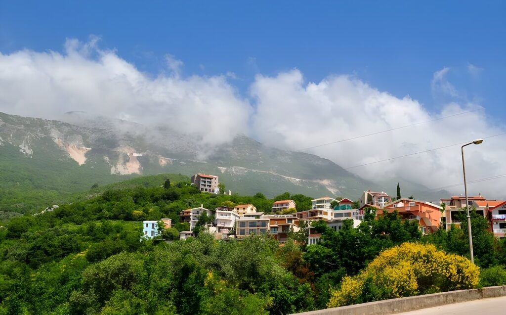 Stara Oliwa w Beсiсi