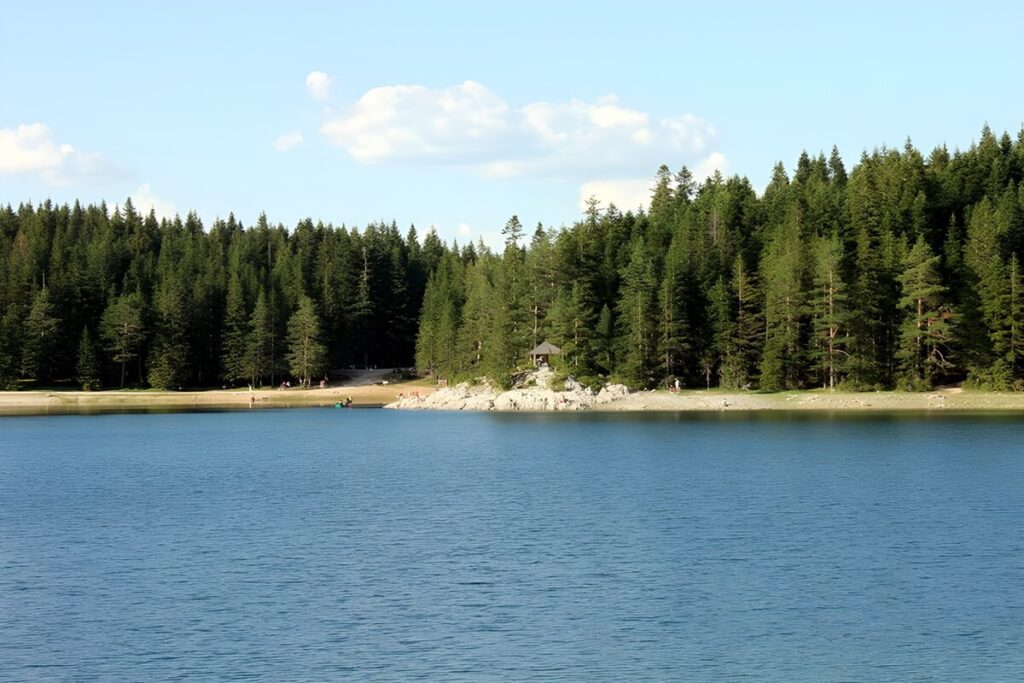 Widok na brzeg Czarnego Jeziora