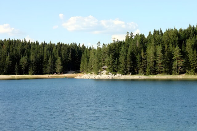 Widok na brzeg Czarnego Jeziora