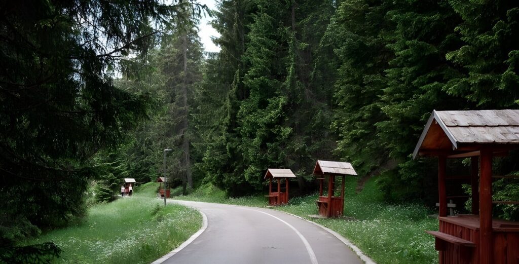 Droga do Czarnego Jeziora w Czarnogórze