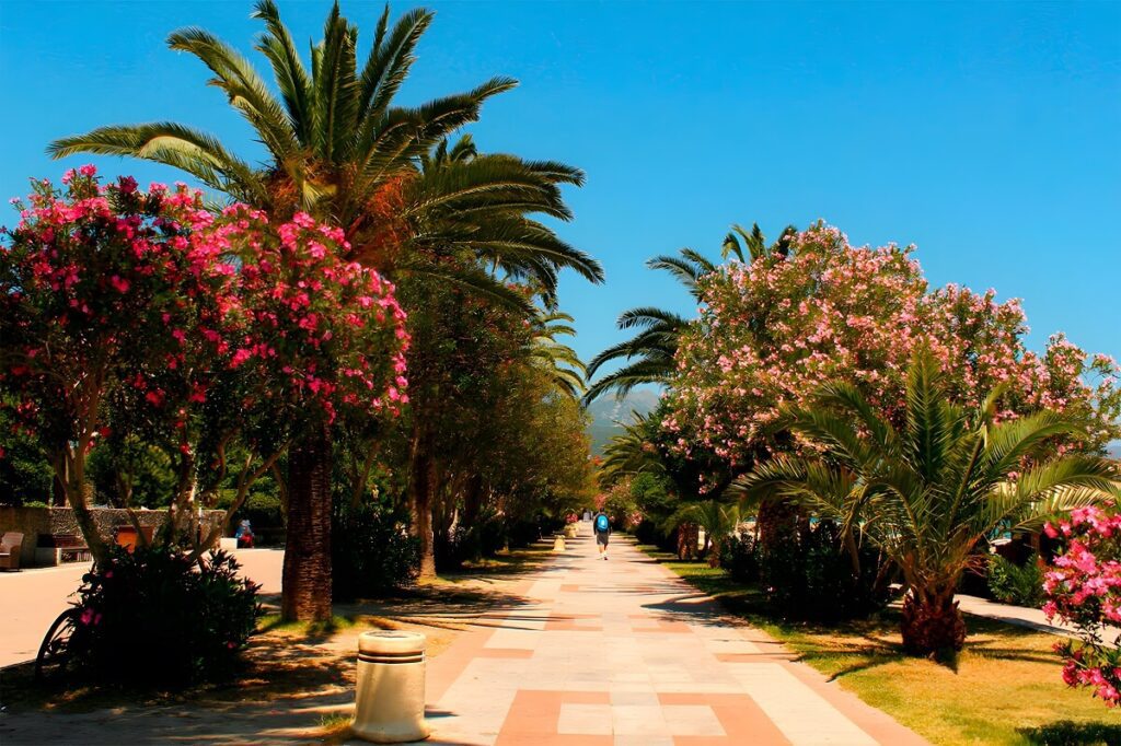 Nabrzeże w Barze w Czarnogórze