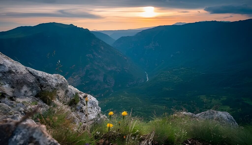 Kanion rzeki Tara w Parku Narodowym Durmitor