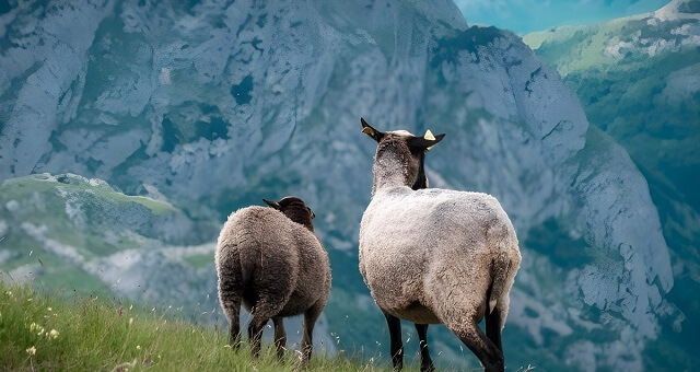 Park Narodowy Durmitor